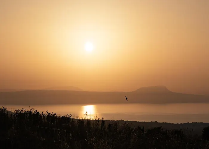 Kalliston - 4000m2 Of Elevated Living